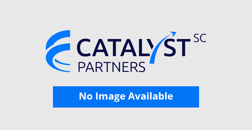 Final Mile Strategy & Execution Excellence